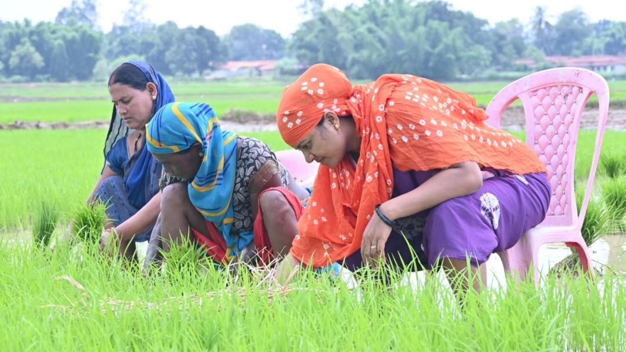 Featured Image Featured Image