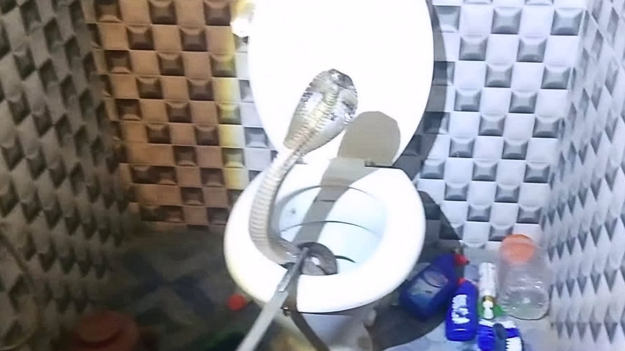 Featured Image Featured Image