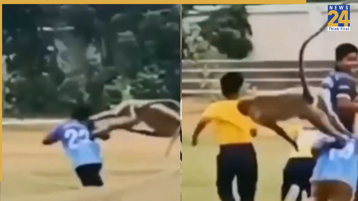 Featured Image Featured Image