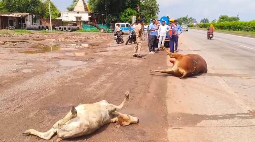 Featured Image Featured Image