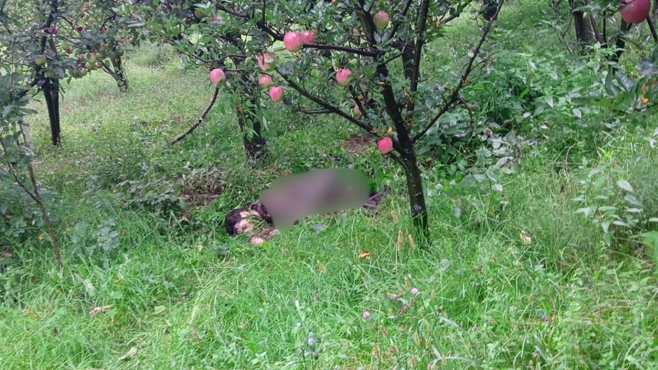 Featured Image Featured Image