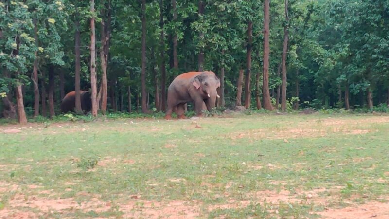 Featured Image Featured Image