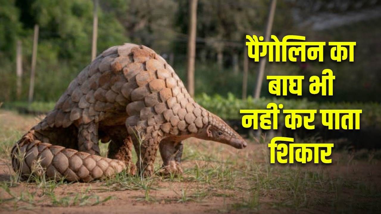 Featured Image Featured Image