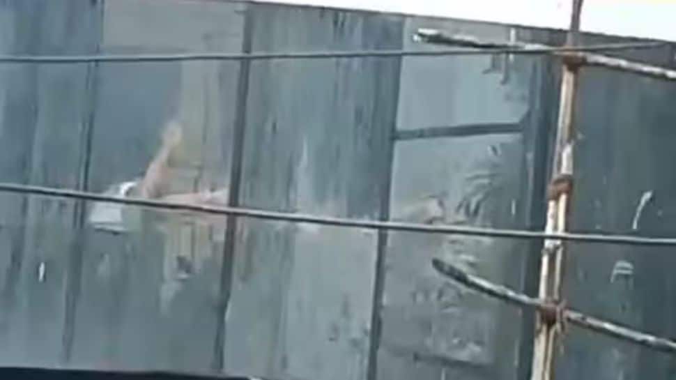 Featured Image Featured Image