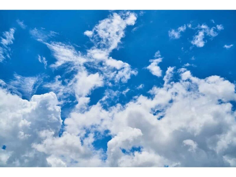 Featured Image Featured Image