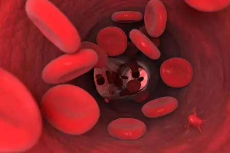 गर्भावस्था