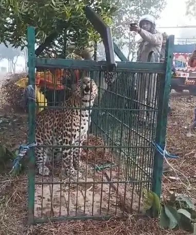 उत्तराखंड: