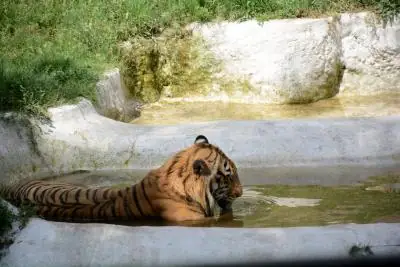 पाकिस्तान